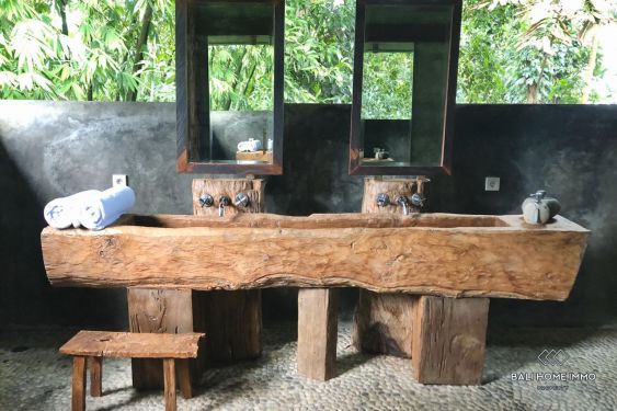 Image 8 from Spacious 2 Bedroom villa with garden for sale and rent in Bali Ubud