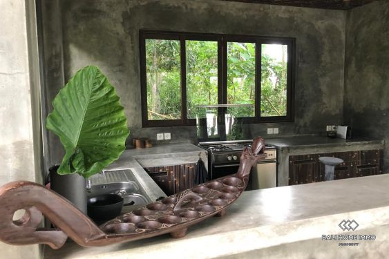 Image 4 from Spacious 2 Bedroom villa with garden for sale and rent in Bali Ubud