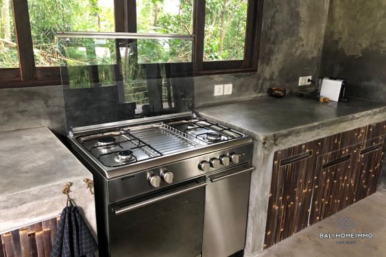 Image 5 from Spacious 2 Bedroom villa with garden for sale and rent in Bali Ubud