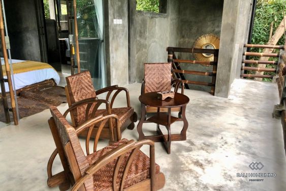 Image 9 from Spacious 2 Bedroom villa with garden for sale and rent in Bali Ubud