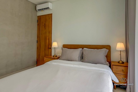 Image 10 from Villa baru yang indah dengan 2 kamar untuk dijual dan disewa di Canggu Padonan, Bali.