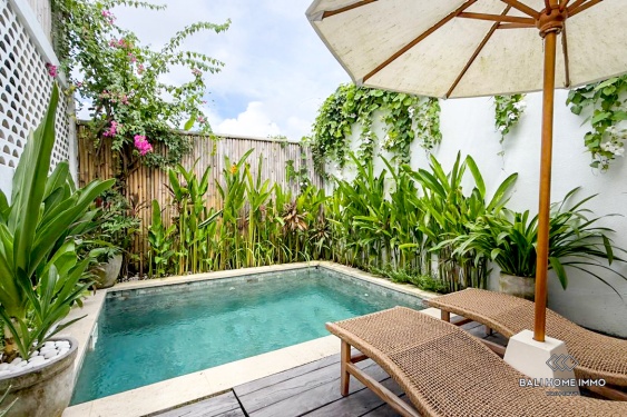 Image 15 from Villa 2 Kamar Cantik Dijual Hak Milik di Bali Pererenan Tumbak Bayuh