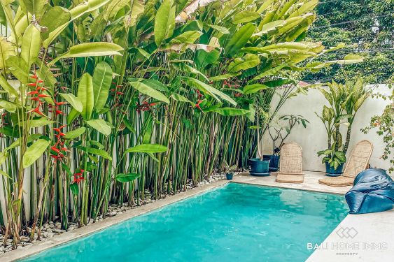 Image 1 from Belle villa de 3 chambres à louer au mois à Bali Canggu Berawa