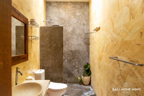 Image 20 from 3 Bedroom Villa for sale and rental in Bali Canggu