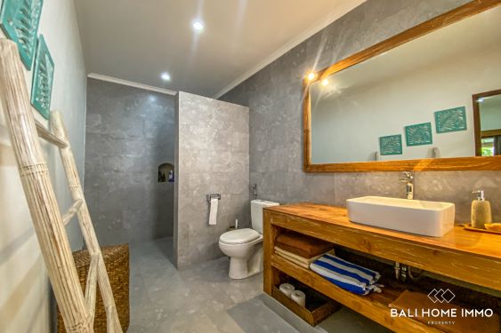 Image 19 from Vila 3 Kamar Tidur yang Indah untuk Disewakan Bulanan di Bali Sisi Perumahan Canggu