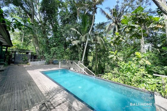Image 2 from Beautiful Creative rainforest 4 Bedroom Villa for rent  in Bali Kaba Kaba