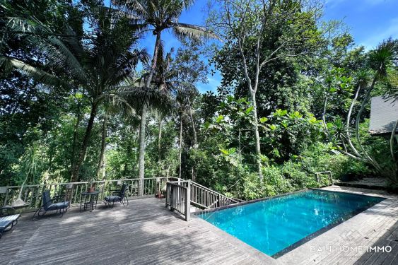 Image 3 from Beautiful Creative rainforest 4 Bedroom Villa for rent  in Bali Kaba Kaba
