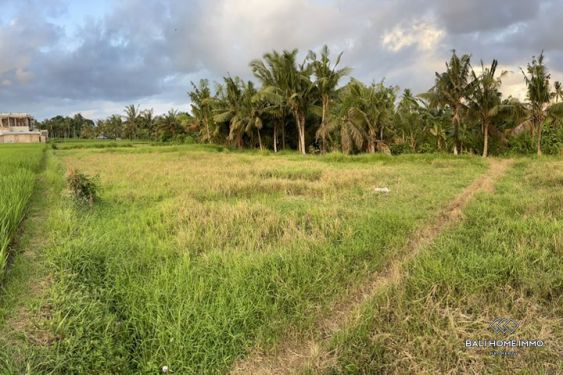 Image 5 from 13 are land for sale walking distance to beach in Kedungu Bali