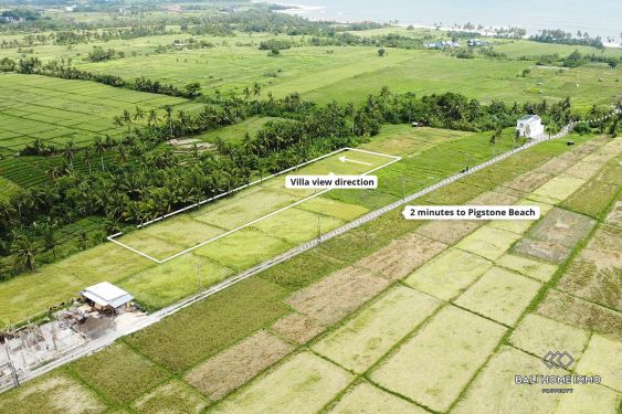 Image 4 from 13 are land for sale walking distance to beach in Kedungu Bali