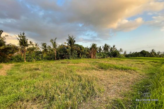 Image 6 from 13 are land for sale walking distance to beach in Kedungu Bali