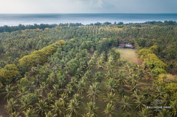 Image 18 from 11 resort villa cantik dijual di Gili Trawangan