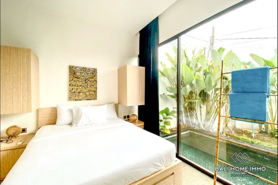 Image 11 from 2 bedroom Villa for Rent in Canggu Berawa