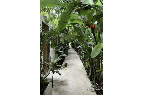 Image 20 from 8 Bedroom Villa for Sale Leasehold in Pererenan Beachside