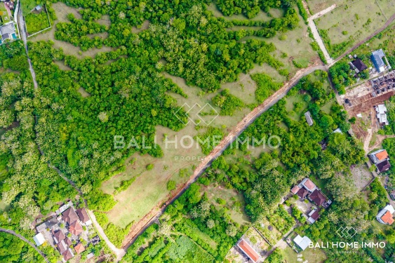 Image 3 from Big Plot Residential Land for Sale Freehold with Ocean View in Ungasan