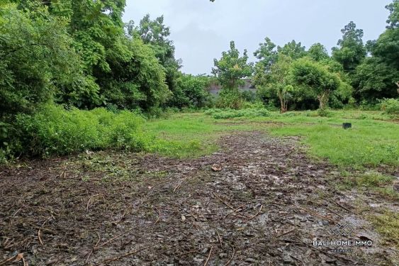 Image 4 from BIG PLOT RESIDENTIAL LAND FOR SALE LEASEHOLD IN UNGASAN