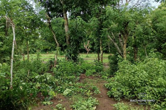 Image 6 from BIG PLOT RESIDENTIAL LAND FOR SALE LEASEHOLD IN UNGASAN