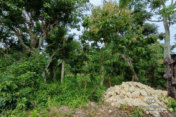 Image 5 from BIG PLOT RESIDENTIAL LAND FOR SALE LEASEHOLD IN UNGASAN
