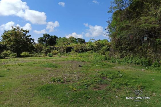 Image 5 from Big Plot Residential Land for Sale Leasehold in Ungasan