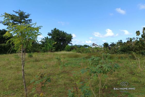 Image 4 from Big Plot Residential Land for Sale Leasehold in Ungasan