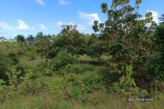Image 9 from Big Plot Residential Land for Sale Leasehold in Ungasan