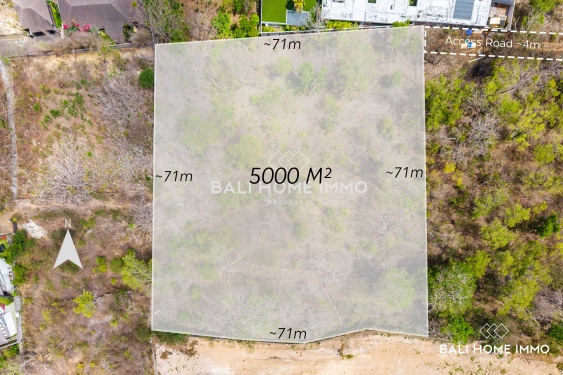 Big Plot Touristic Land for Sale Freehold with Stunning Ocean View in Bingin