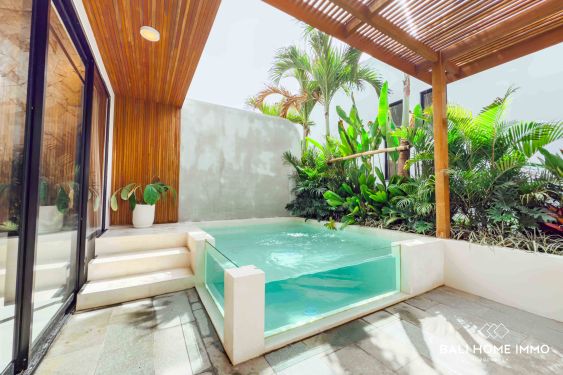 Image 4 from BELLE VILLA NEUVE D'UNE CHAMBRE À VENDRE EN LOCATION À ULUWATU PECATU