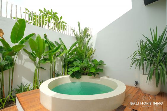 Image 19 from STUNNING 1 BEDROOM LOFT FOR SALE LEASEHOLD IN UNGASAN