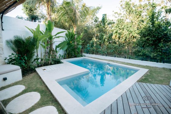 Image 3 from Dijual Rumah Loft Modern 1 Kamar Tidur Baru dengan Pemandangan Hutan di Balangan Bali