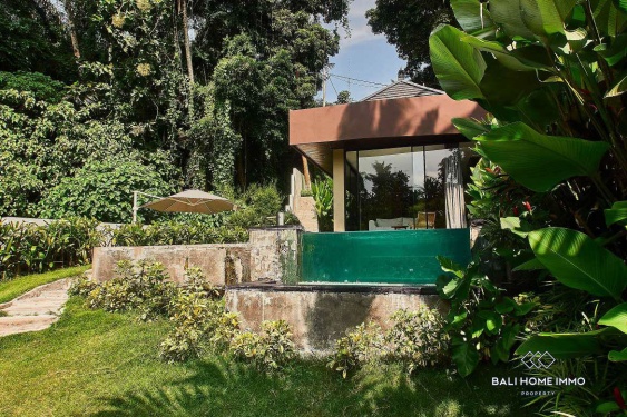 Villa moderne neuve d'une chambre en bord de rivière à Ubud, Bali, à vendre et à louer