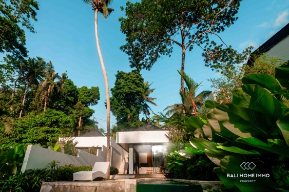 Image 17 from Villa moderne neuve d'une chambre au bord de la rivière à vendre à Ubud, Bali