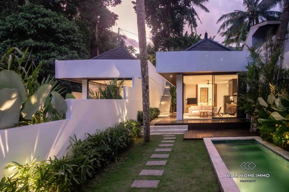 Image 19 from Villa moderne neuve d'une chambre au bord de la rivière à vendre à Ubud, Bali