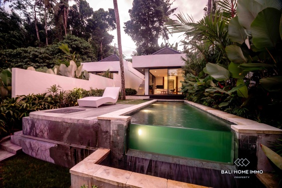 Image 18 from Villa moderne neuve d'une chambre au bord de la rivière à vendre à Ubud, Bali