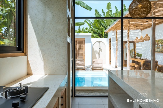 Image 9 from Villa Desain Tropis 1 Kamar Baru Dijual di Pandak gede Nyanyi