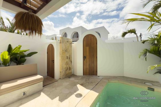 Image 2 from BRAND NEW 1 BEDROOM VILLA FOR MONTHLY & YEARLY RENTAL IN BALI ULUWATU - BINGIN