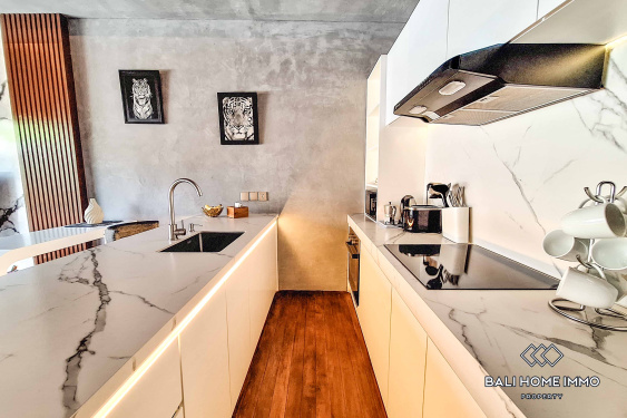 Image 6 from Villa 1 Kamar Baru Disewakan di Canggu Batu Bolong