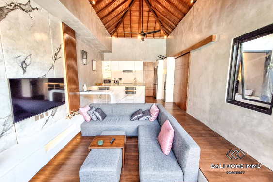 Image 3 from Villa 1 Kamar Baru Disewakan di Canggu Batu Bolong