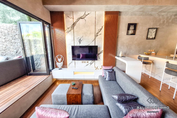 Image 4 from Villa 1 Kamar Baru Disewakan di Canggu Batu Bolong