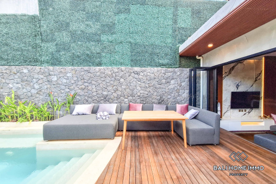 Image 2 from Villa 1 Kamar Baru Disewakan di Canggu Batu Bolong