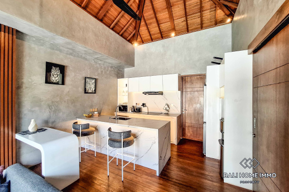 Image 5 from Villa 1 Kamar Baru Disewakan di Canggu Batu Bolong