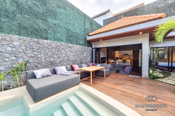 Image 1 from Villa 1 Kamar Baru Disewakan di Canggu Batu Bolong