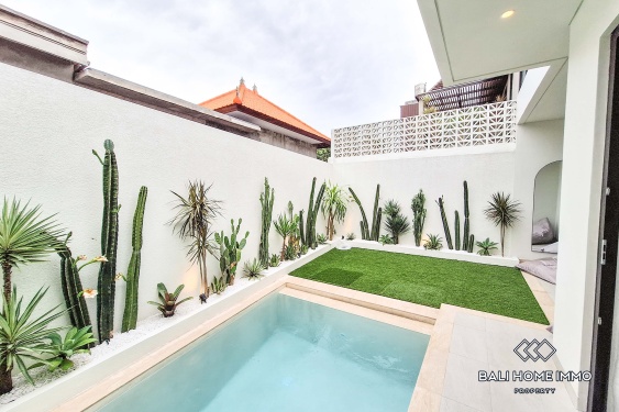Image 9 from Brand New 1 Bedroom Villa for Rent in Canggu Residential Side