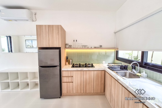 Image 5 from Brand New 1 Bedroom Villa for Rent in Canggu Residential Side