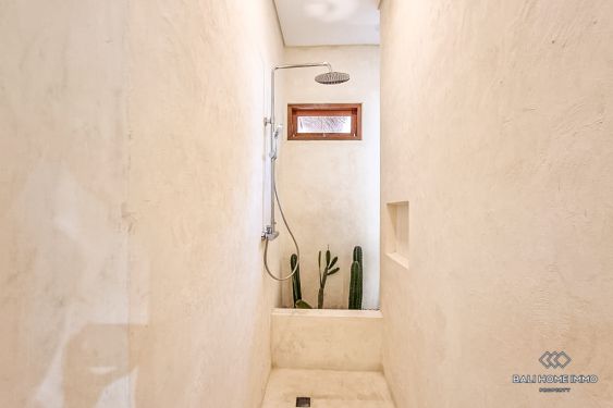 Image 17 from Brand New 1 Bedroom Villa for Rent in Bali Pererenan