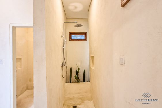 Image 16 from Brand New 1 Bedroom Villa for Rent in Bali Pererenan