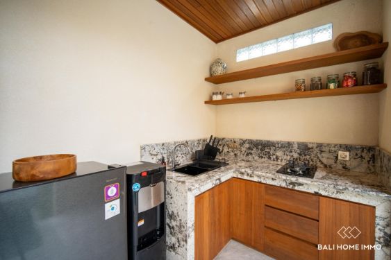 Image 5 from Dijual dan Disewakan Vila 1 Kamar Baru di Bali Pererenan Tumbak Bayuh