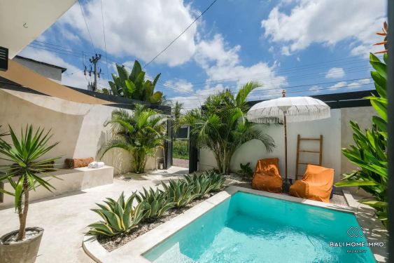 Image 2 from Brand New 1 Bedroom Villa for Sale Leasehold in Bali - Berawa