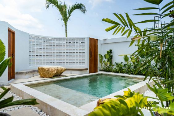 Image 2 from Brand new 1 Bedroom Villa for sale leasehold in Bali Padonan