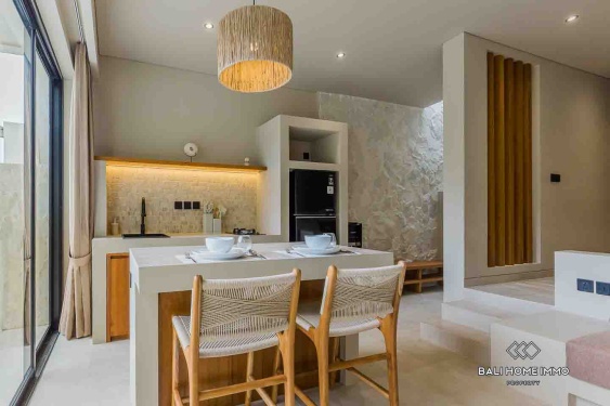 Image 10 from Brand new 1 Bedroom Villa for Sale Leasehold in Bali Pererenan North Side