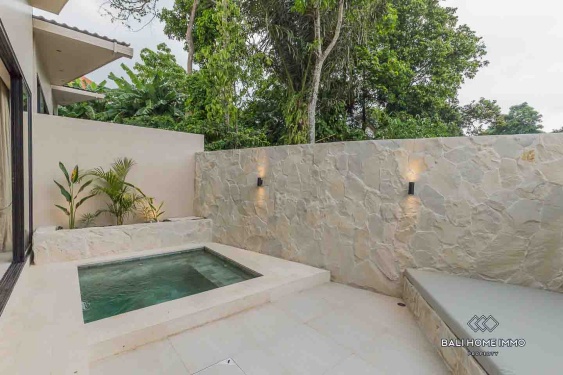 Image 19 from Brand new 1 Bedroom Villa for Sale Leasehold in Bali Pererenan North Side