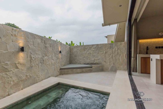 Image 18 from Brand new 1 Bedroom Villa for Sale Leasehold in Bali Pererenan North Side